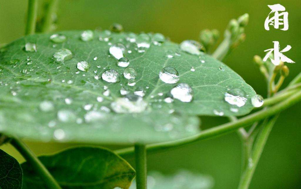 雨水！